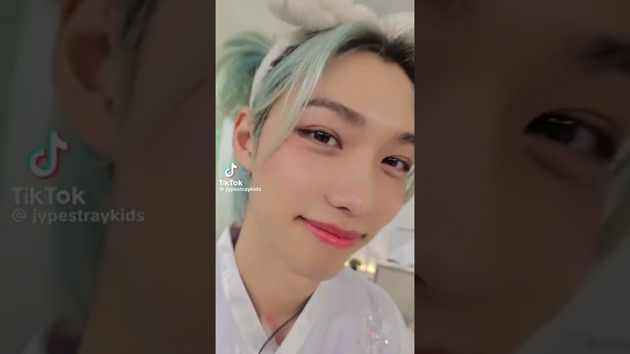 @StrayKids official tiktok compilation because it’s christmas eve(L)