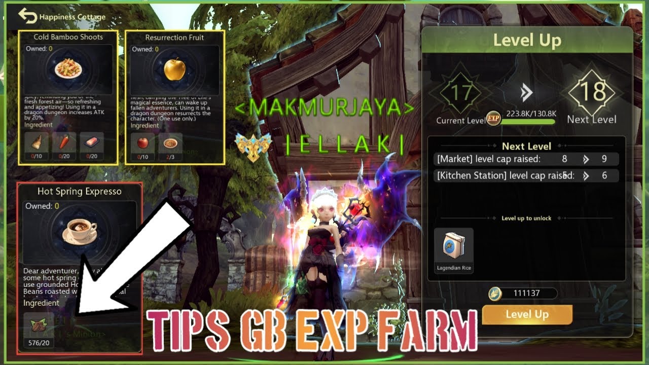 【Dragon Nest M: Classic】TIPS GB EXP LEVEL FARM EFISIEN - FUNGSI FARM & BUFF COOKING DNMC