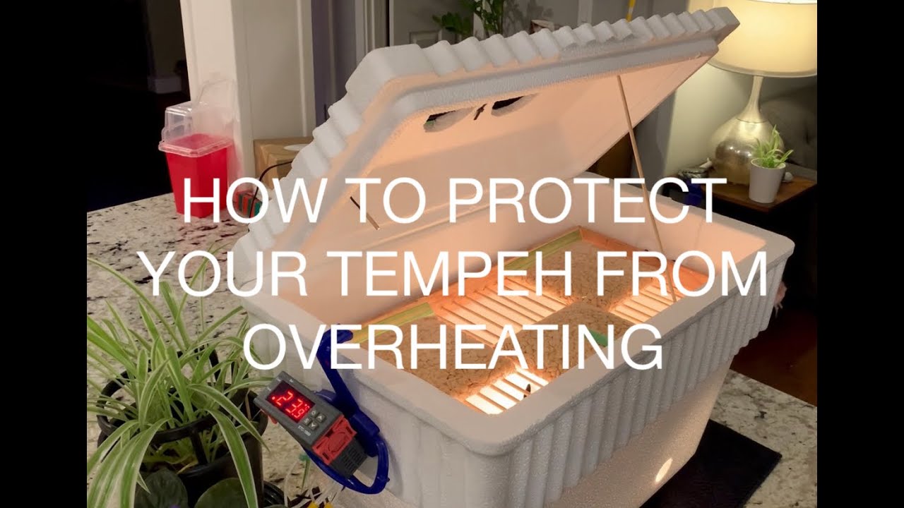 How To Protect Your Tempeh From Overheating