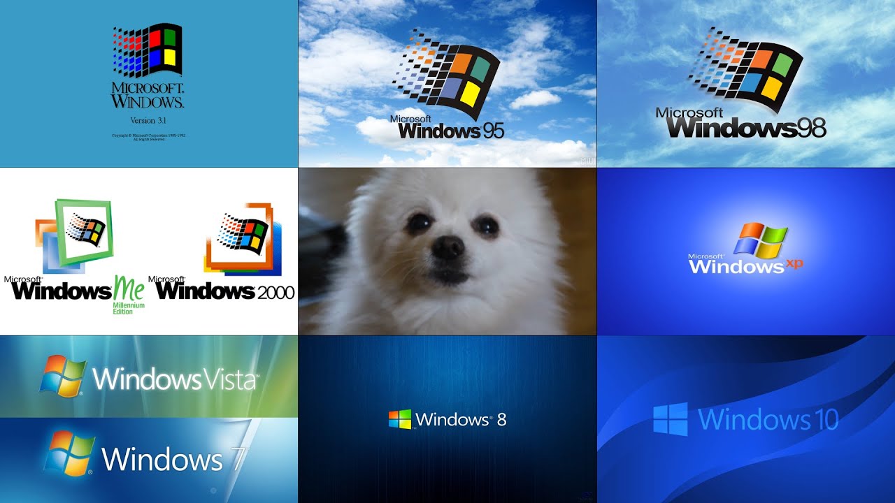 윈도우 부팅음, 종료음 모음 강아지 리믹스 Microsoft Windows Startup / Shutdown Sounds (Gabe the Dog Cover)