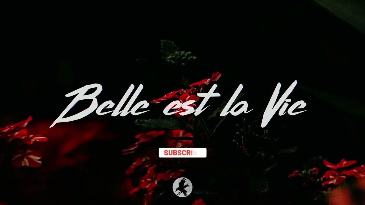Maes X Werenoi Type Beat - 