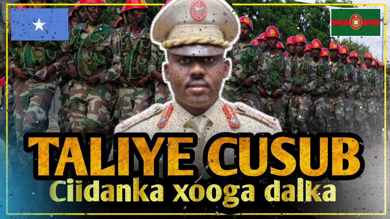 CIIDANKA XOOGGA DALKA OO HELAY TALYE CUSUB | MAXAY KA DHIGAN TAHAY?