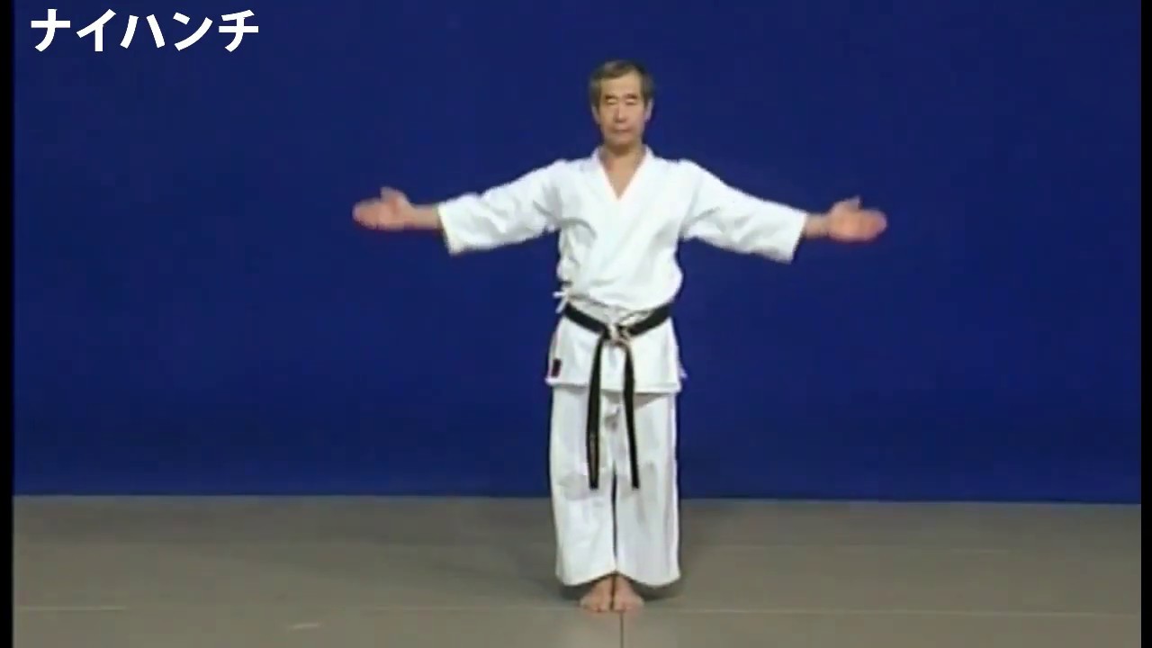Wado   ryu Naihanchi Bunkai Hiroji Fukazawa 和道流 ナイハンチ 分解