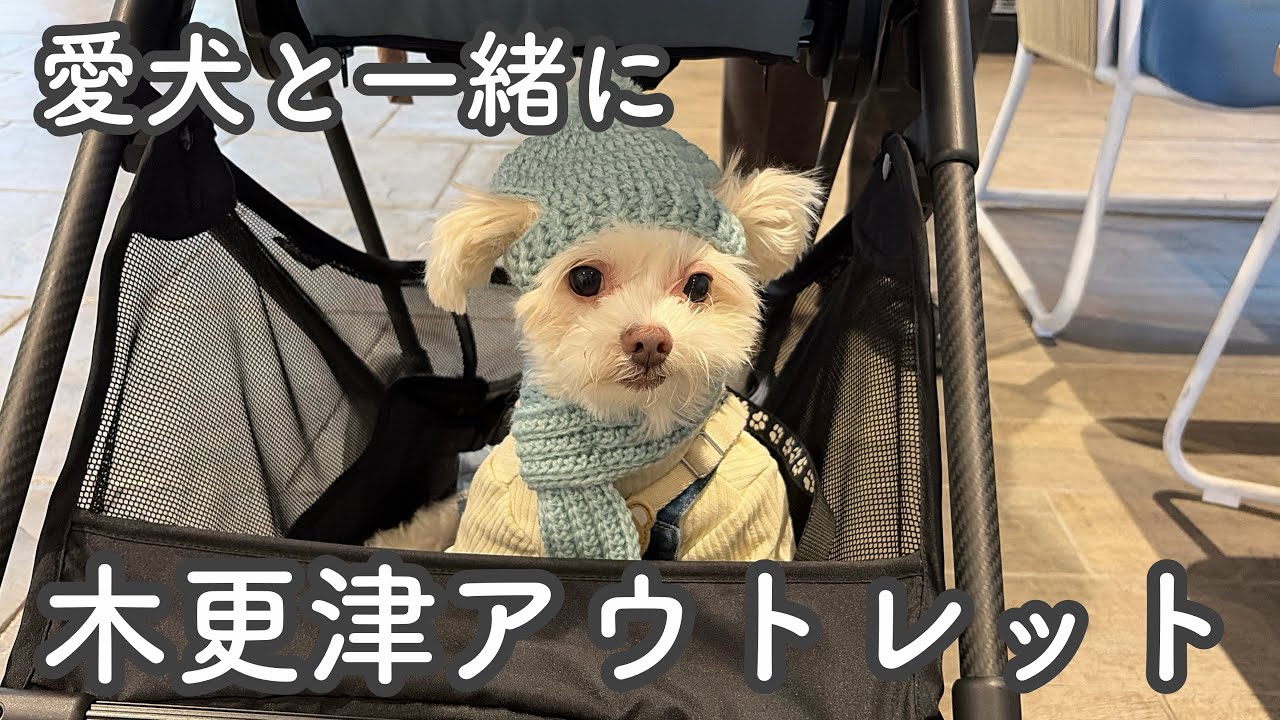 【Vlog】わんこに優しいお出かけスポット、木更津アウトレットへ！