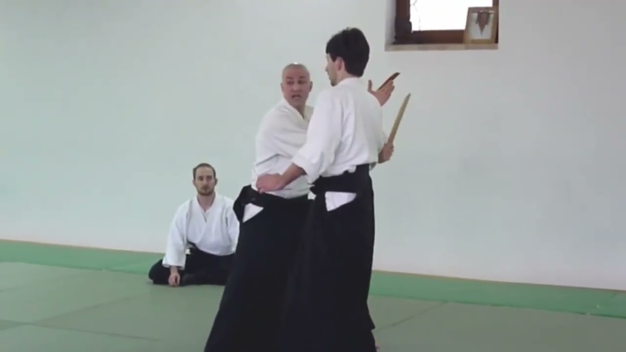 2011 Winter - Tanto -Yokomenuchi technique 03:51 - Meido (Keith) Moore Shihan