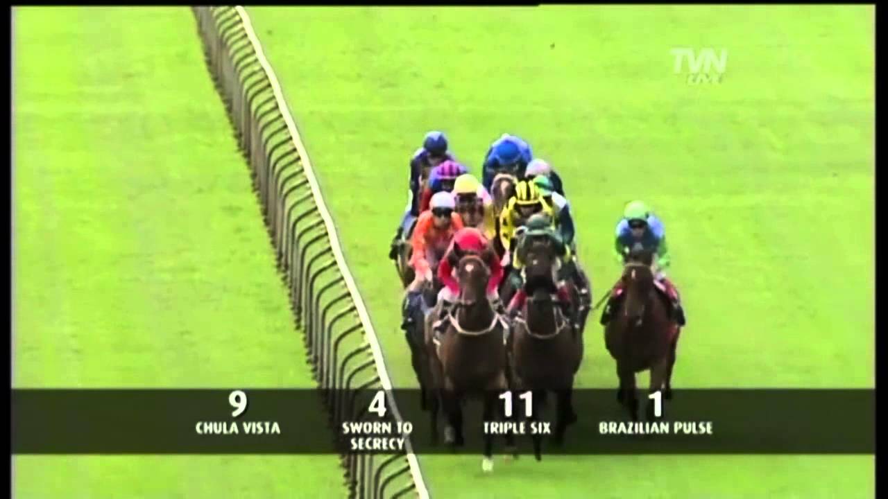 2011 Vinery / Storm Queen Stakes- Mirjulisa Lass