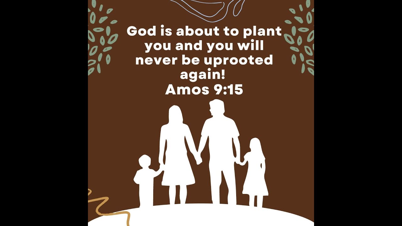 God is about to plant you and your family AND you will never be uprooted or ripped apart again!