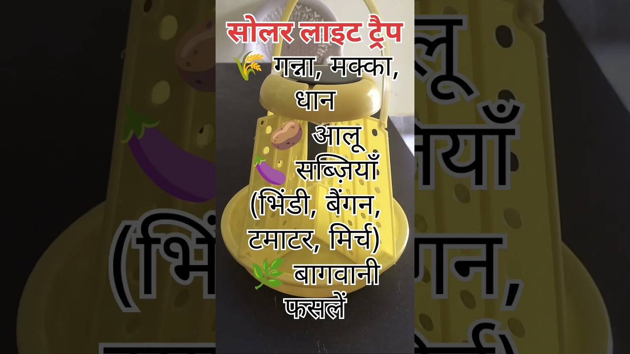 “Solar Light Trap से कीट नियंत्रण | Simple Farm Trick!”