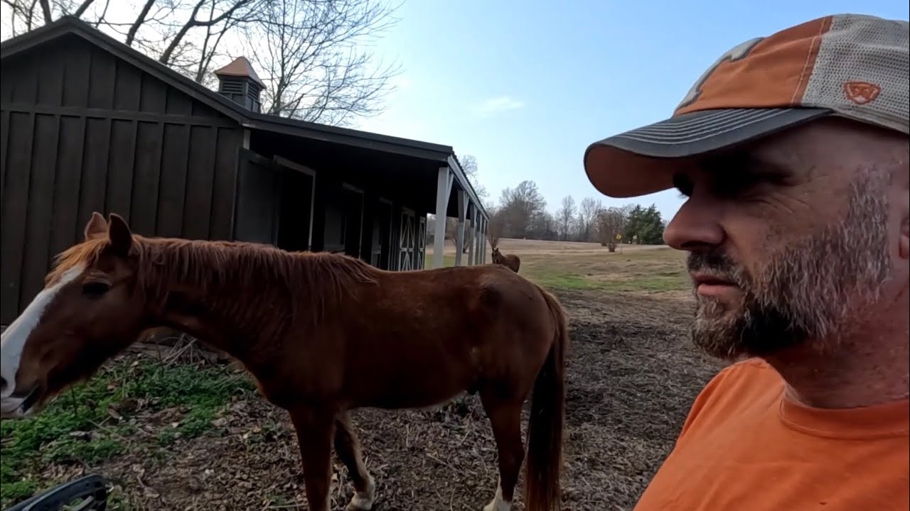 Это не самая любимая моя работа, но её всё равно нужно выполнить.