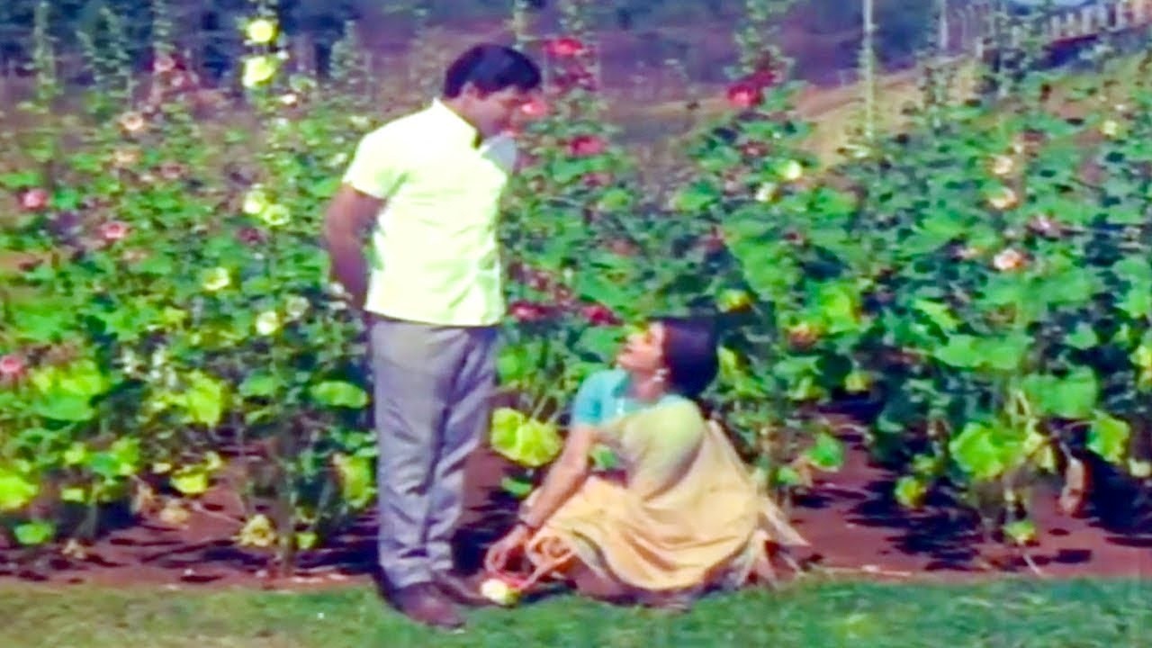 Sobhan Babu, Kanchana Evergreen Song - Kalyana Mandapam Songs | Telugu Movie Video Songs