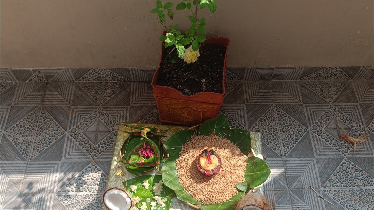 రథ సప్తమి/భాను సప్తమి పూజా విధానం|రథసప్తమి నోము నోచుకునే విధానం|ఓం సూర్యాయనమః|🌞 sun |health ఆరోగ్యం