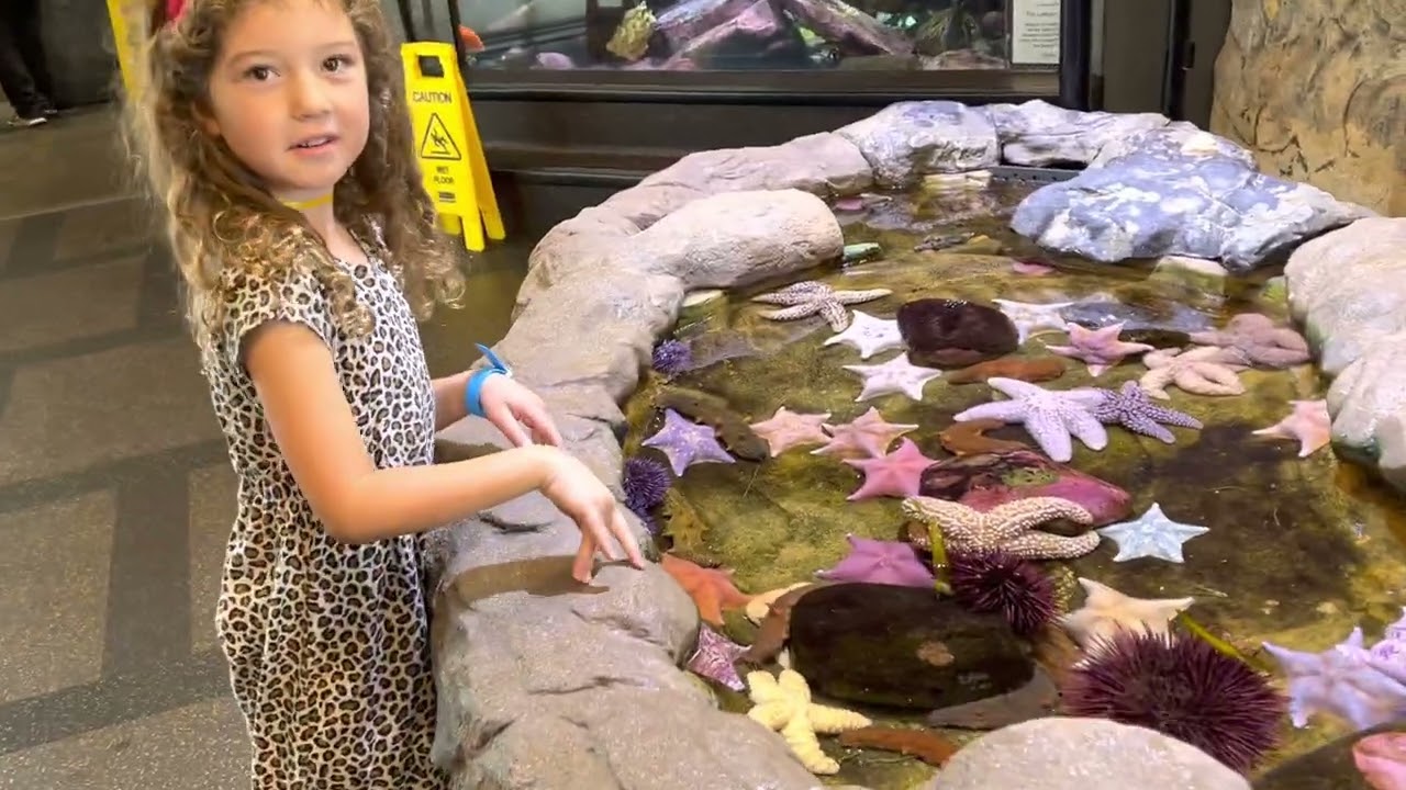 Santa Barbara Museum of Natural History Sea Center