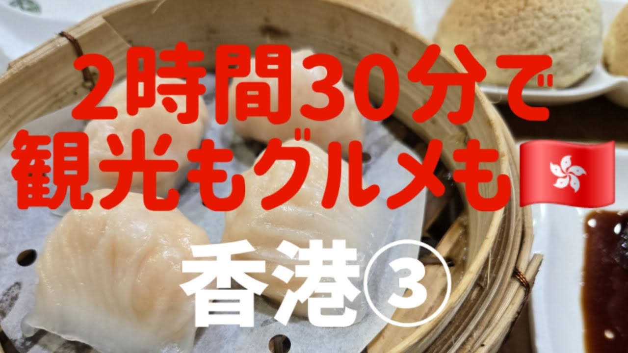 飲茶もデザートも楽しみます🍚【まりどん旅🇭🇰】