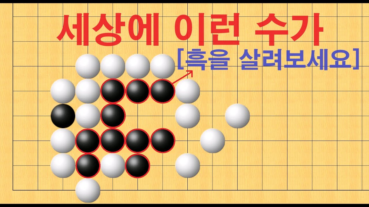 바둑 묘수 사활 - 정말 세상에 이런 수가 있나요? 흑을 살려보세요