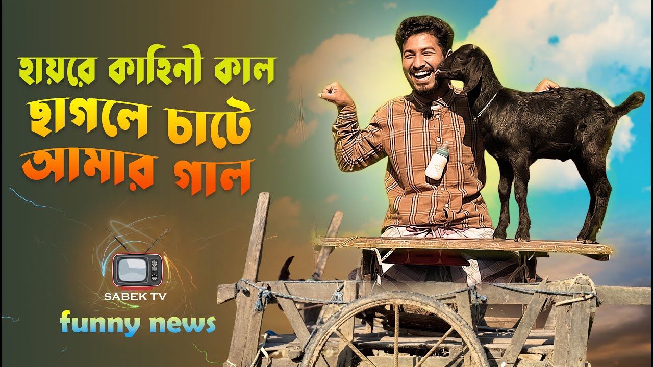 Funny News | হায়রে কাহিনী কাল ছাগলে চাটে আমার গাল 😁 | Comedy Video | Sabek TV | ফানি নিউজ 2025