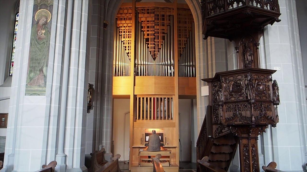 Laetare Jerusalem - Introitus - Freuet euch - Auf der Rieger-Orgel in St. Dionysius Nieukerk