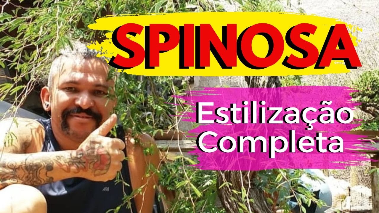 Estilização Completa de uma Caliandra Spinosa, parte de cima.
