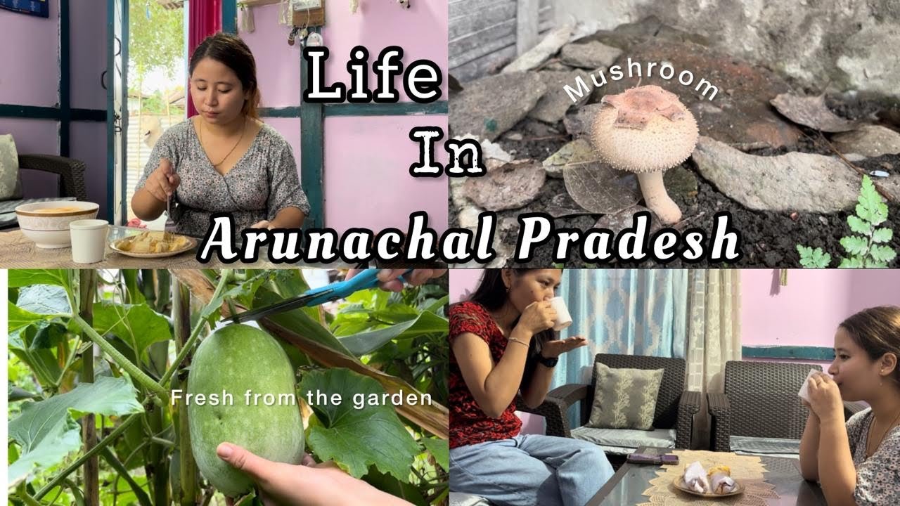 Life in Arunachal Pradesh | Life of a Private school teacher | VLOG |Slow living | Calm Morning🤍🌿