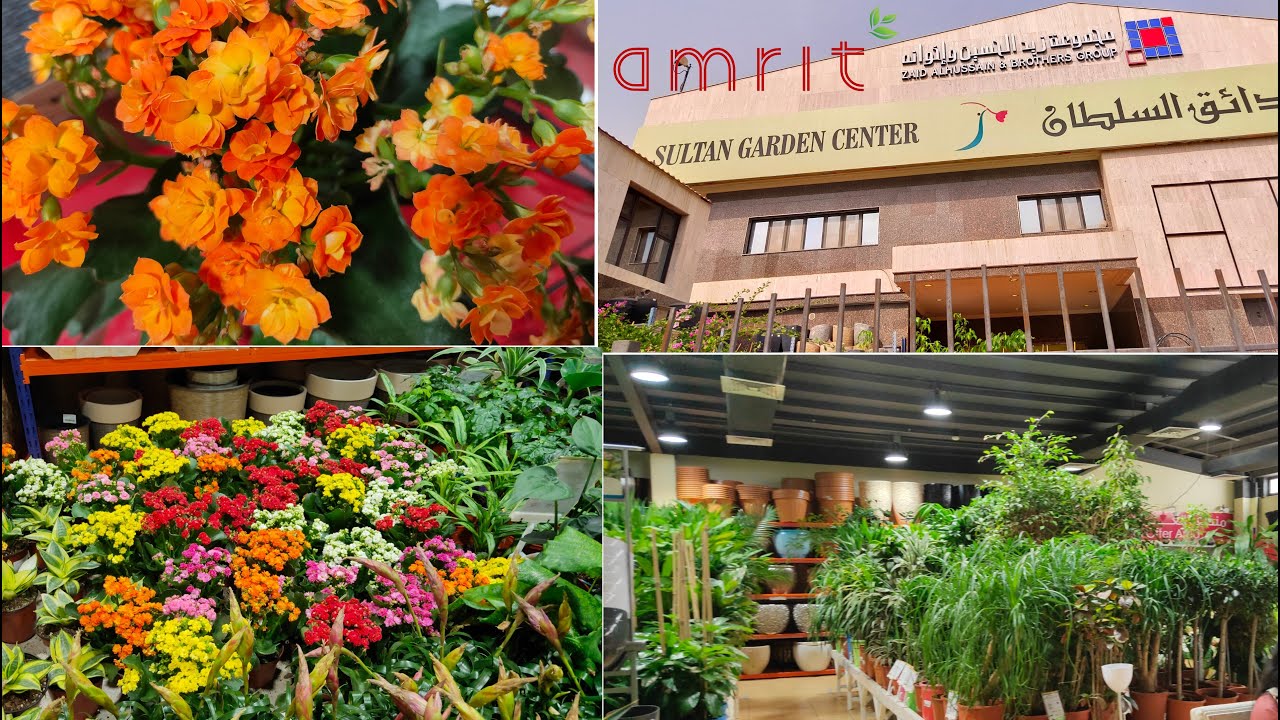 Sultan Garden Center Jeddah Visit || Plants under 1 SAR || Nursery in Jeddah || Touring KSA || amrit
