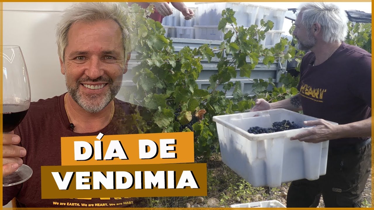 ¡NOS VAMOS DE VENDIMIA! | #Cañizares