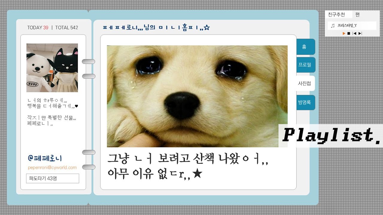 𝐏𝐥𝐚𝐲𝐥𝐢𝐬𝐭. 난 아직도,,이 음악을,,듣는ㄷㅏ,,☆ 강아지,고양이,, 8090년대생 추억의 노래,, Y2K,, 플레이리스트 (싸이월드.ver)✨