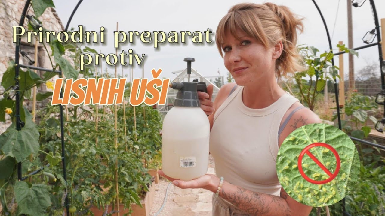 Rije&scaron;enje za LISNE U&Scaron;I na prirodan način! 🚫🌱 Ep.33
