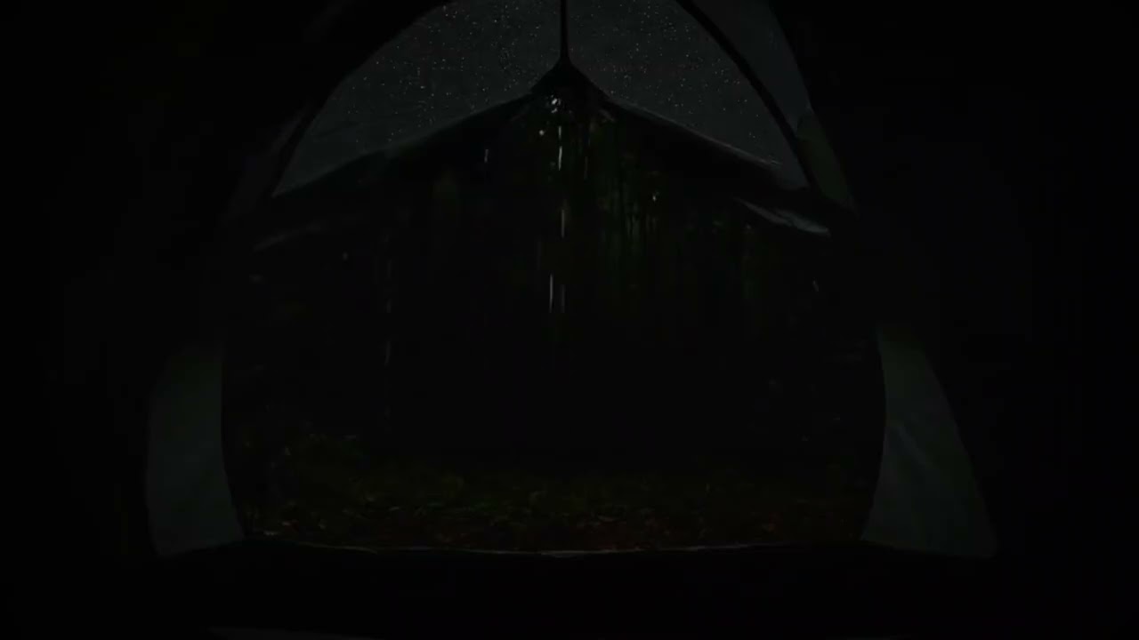 Magical Rainy Night Camping in a Tent 🌧️ Cozy Storm Adventure in the Wild