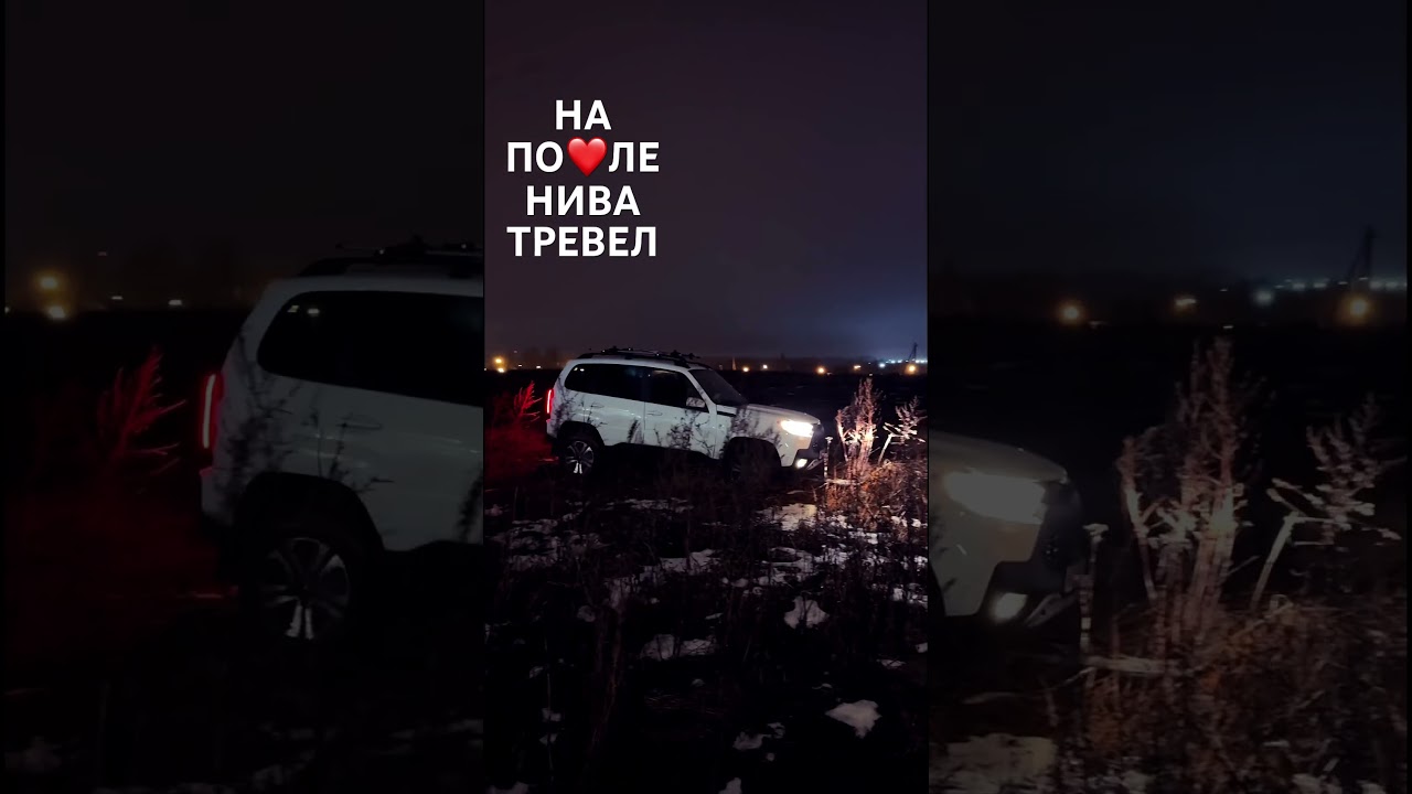 НА ПОЛЕ ЛАДА НИВА ТРЕВЕЛ ❤️ 