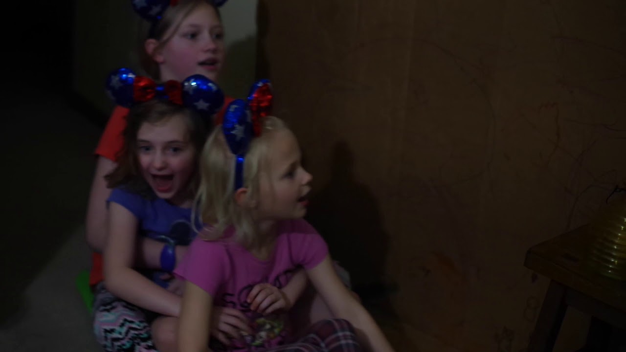 #HomemadeDisney Splash Mountain