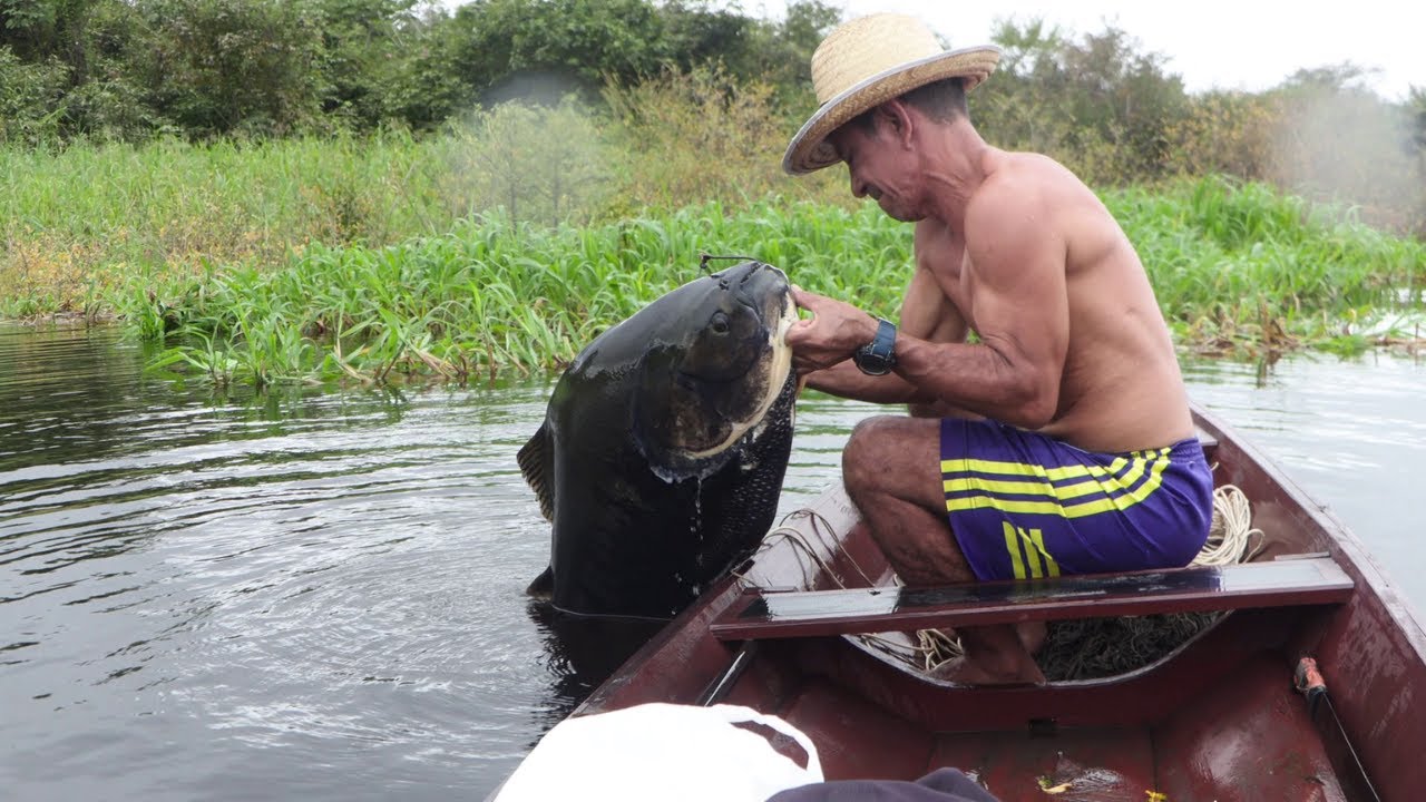 O MAIOR JÁ VISTO NESSE LAGO NEM ACREDITEI !!! VIDA RIBEIRINHA NO AMAZONAS...