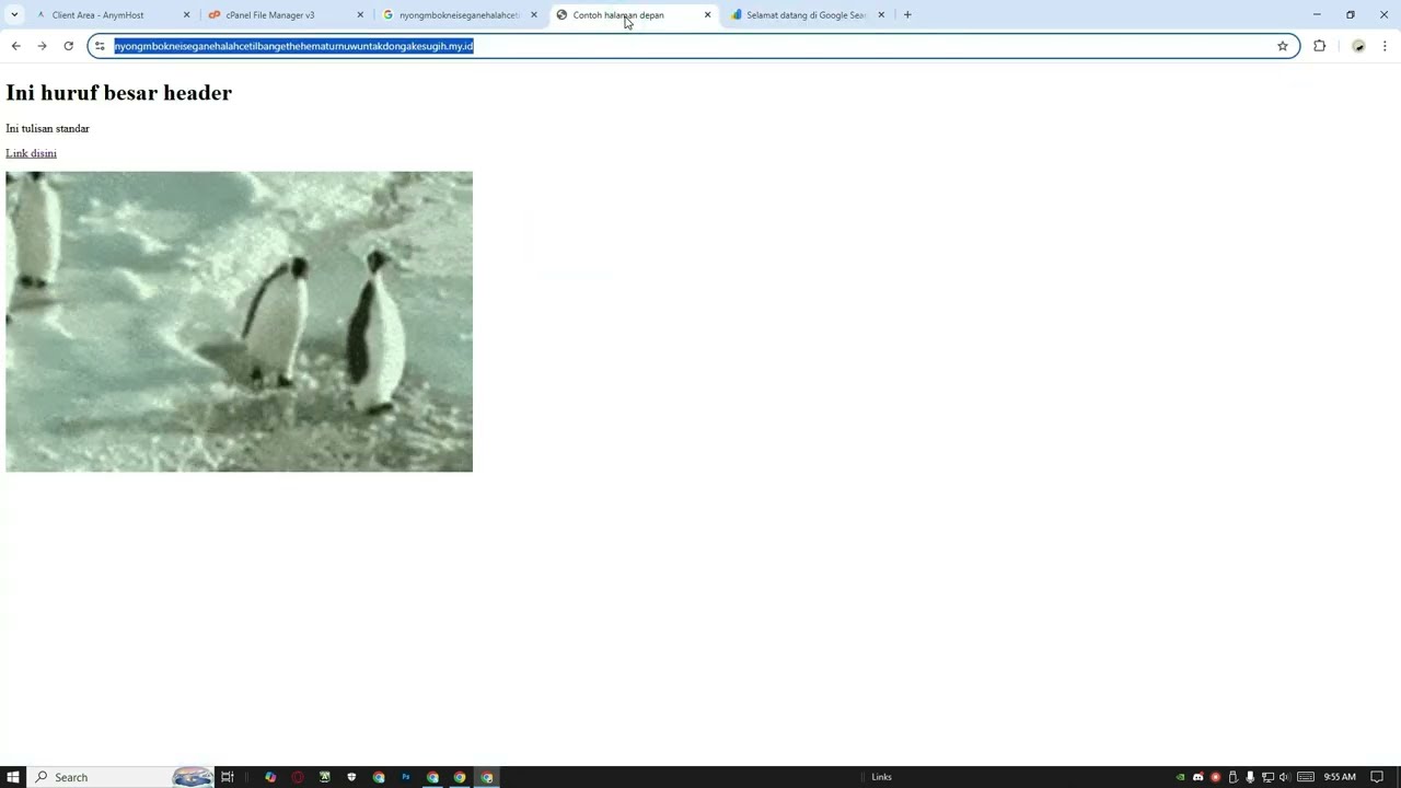 Cara Muncul di Google untuk Website Baru