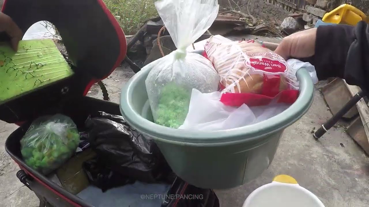 Mancing Borongan Patin Nila Bawal