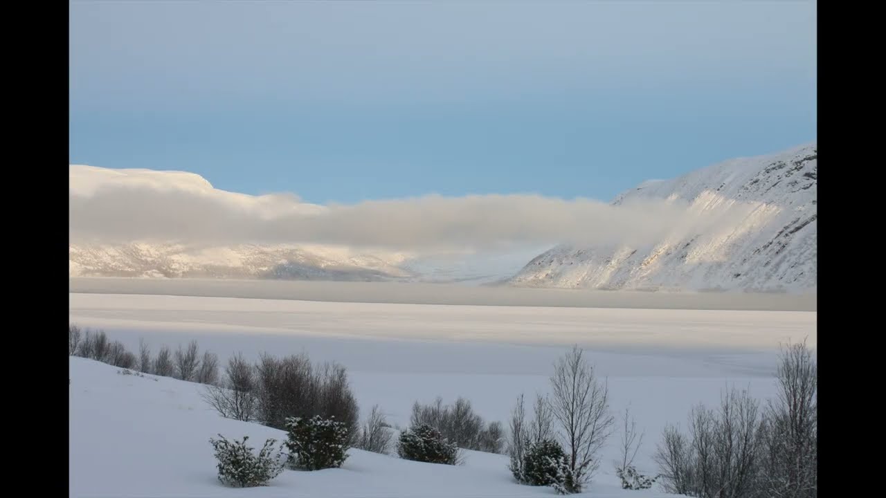 Havsel og fjordis   HD 1080p