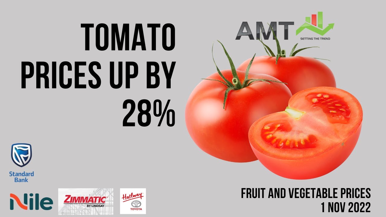 Tomato Prices increase by 28%, but FRUIT prices can decrease | 1 Nov 2022 | AMT Fresh Produce Prices