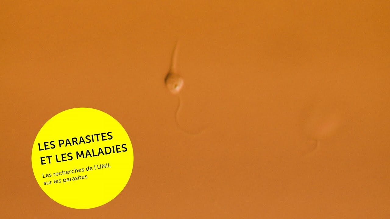 Les parasites et les maladies avec le Prof. Nicolas Fasel