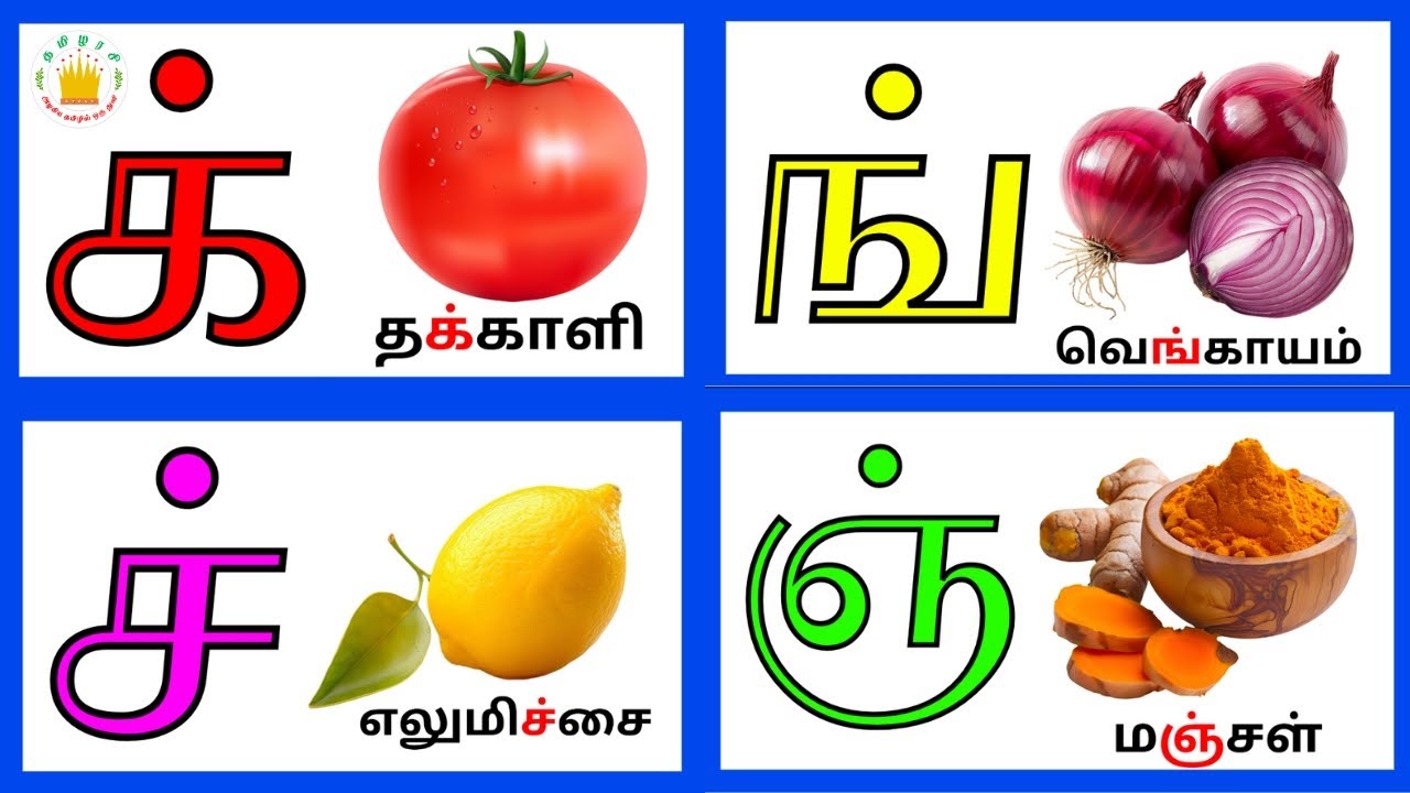 மெய் எழுத்துக்கள்(க் -ன் ) |Mei Eluthukkal | Tamil Letters| Tamilarasi