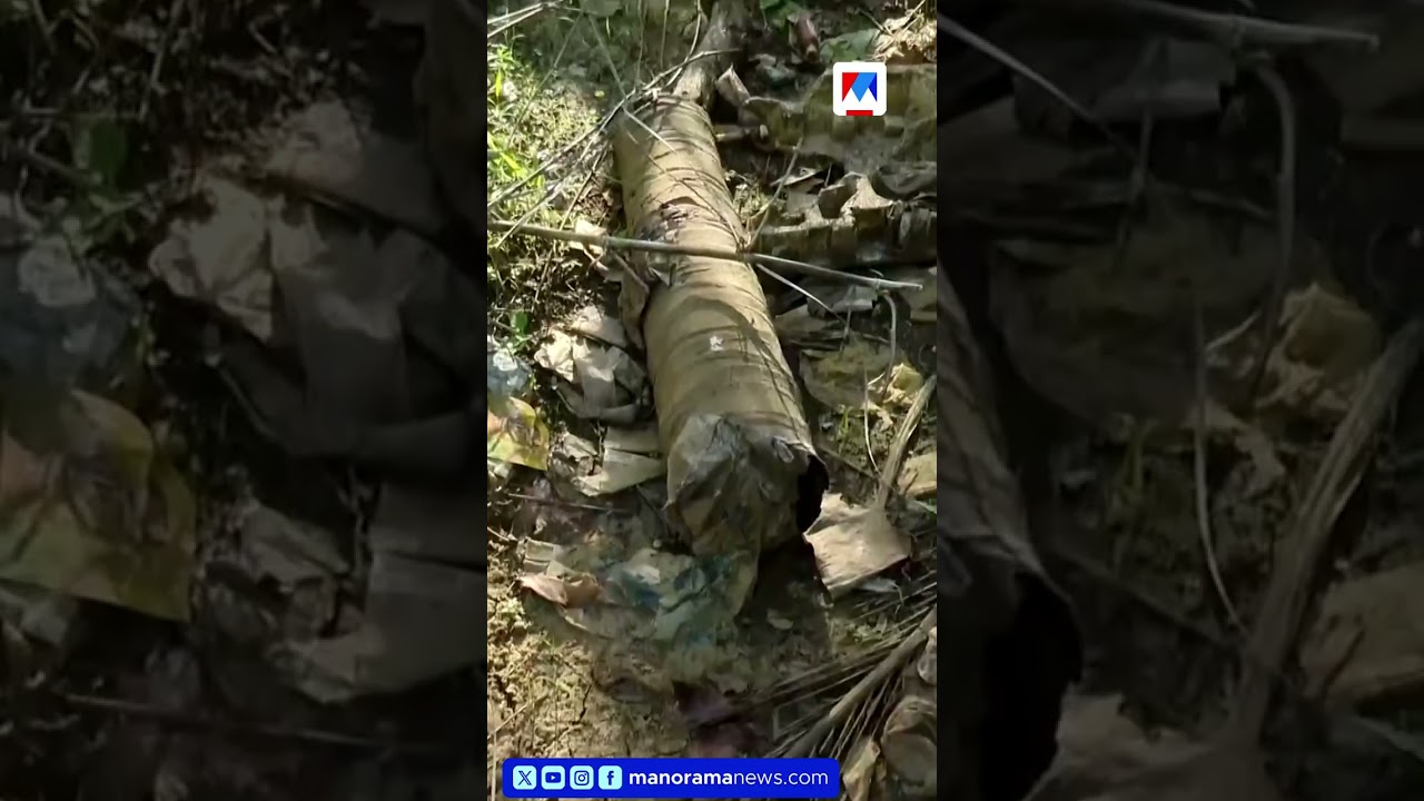 പ്രളയം ഒഴിഞ്ഞിട്ടും ദുരിതം; കുറ്റൂരിൽ കൃഷിഭൂമിയിൽ പ്ലാസ്റ്റിക് മാലിന്യം, കർഷകർ പ്രതിസന്ധിയിൽ