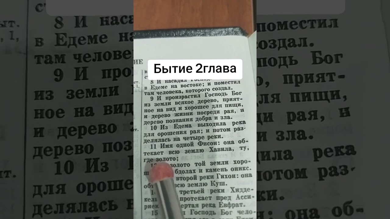 Бытие 2глава #библия 