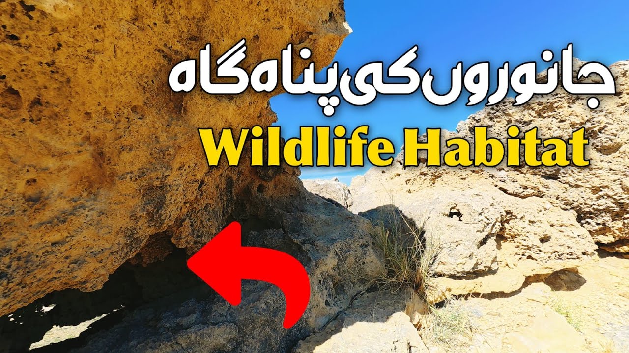 Kirthar Hills Near Karachi | Solar Energy & Green Revolution