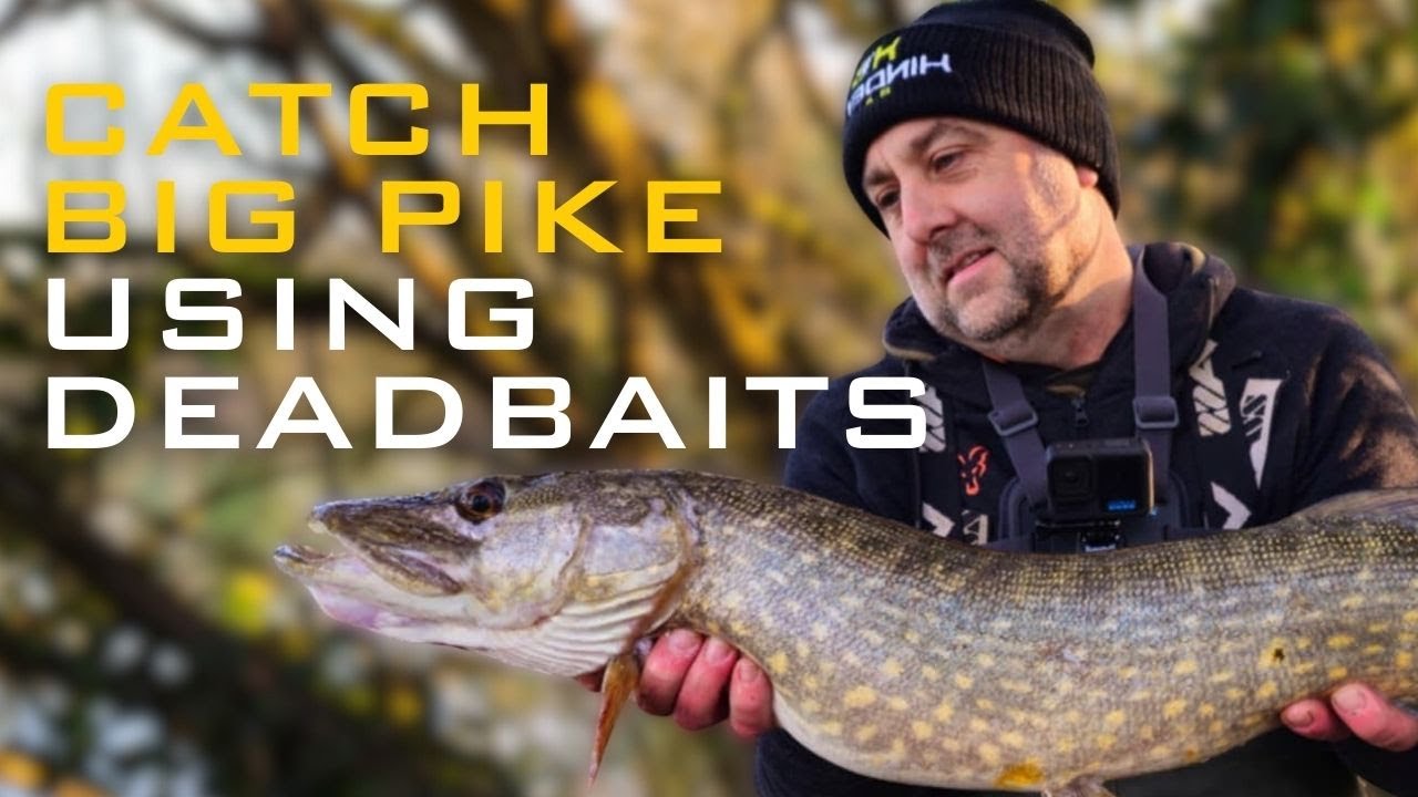 Deadbaits - A Beginners Guide To Pike Fishing
