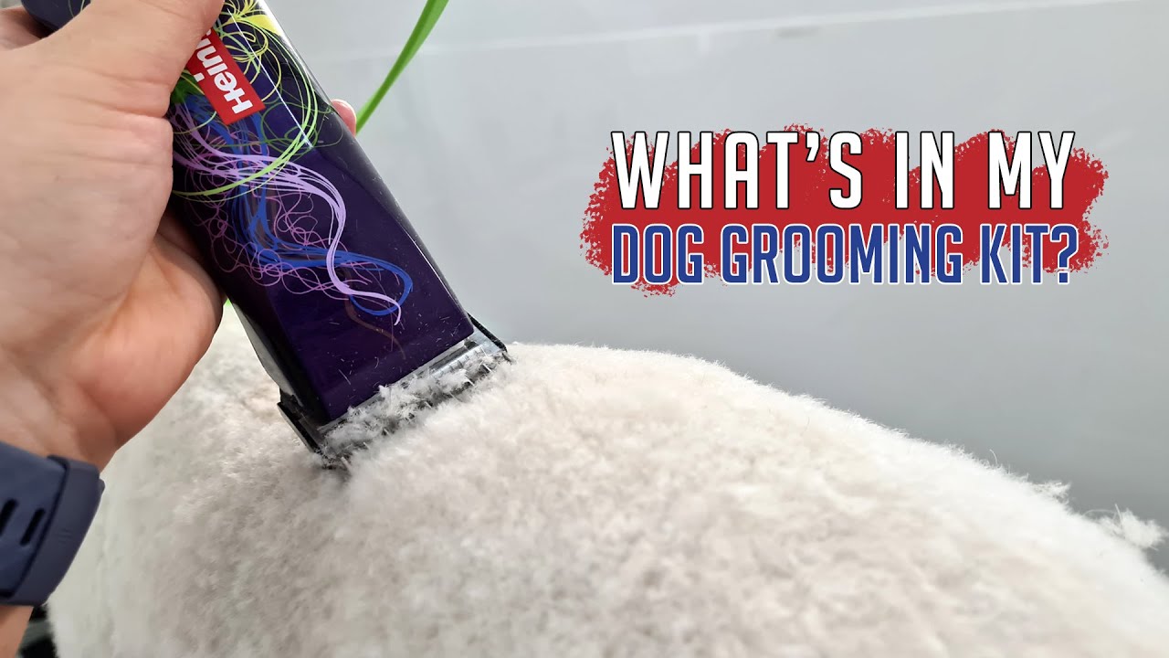 My Holy Grail products - Dog groomer's daily equipment