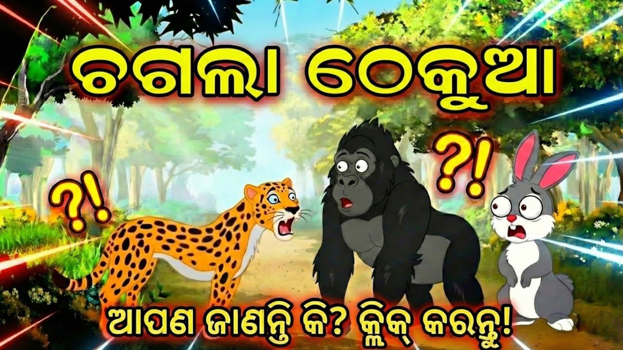 ବାଘ ଓ ଗରିଲା ଲଢେଇ|odia chadhei gapa|kahani video story|cartoon video story video odia|cartoon video 