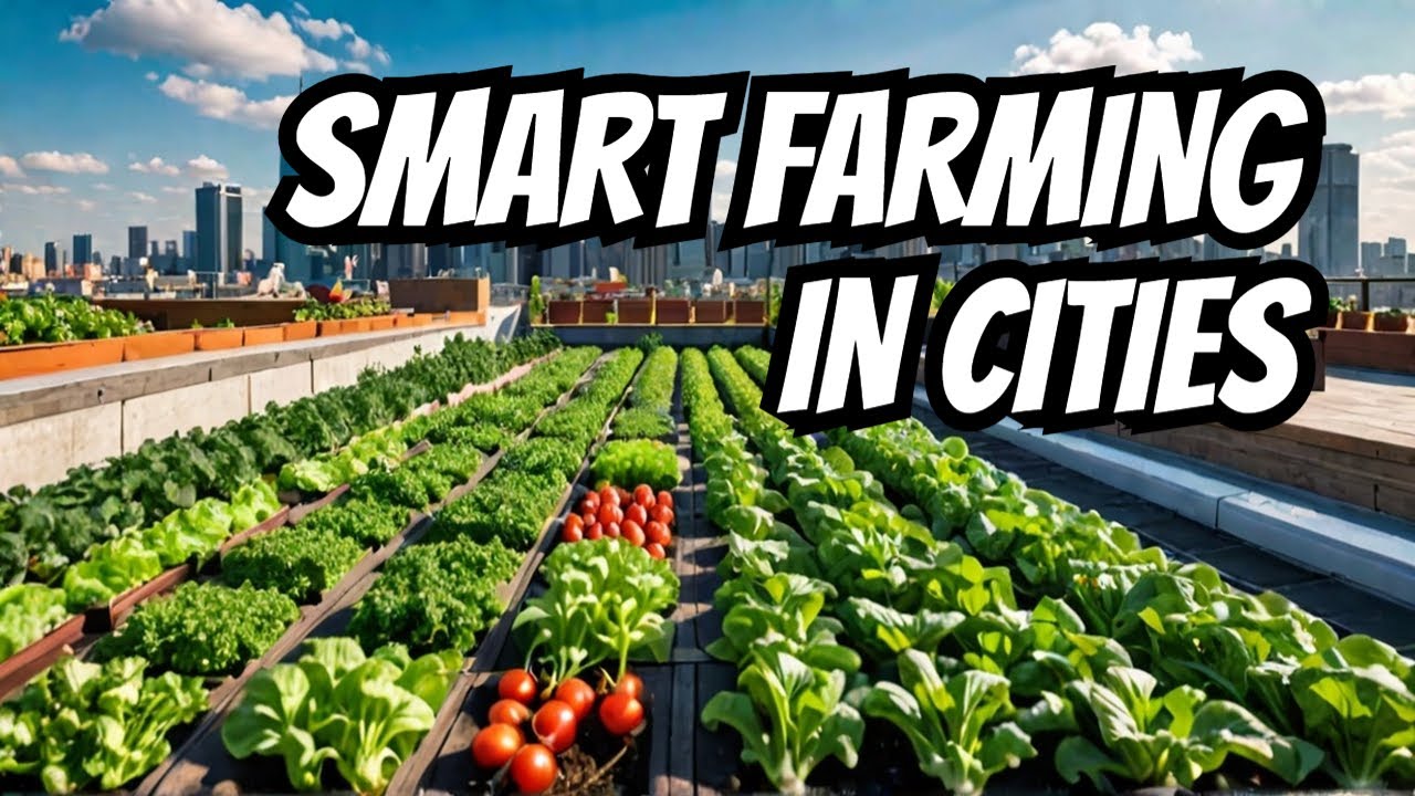 Rooftop Farming: Turning Cities Into Farms #rooftopfarming #agriculturalinnovation  #smartfarming