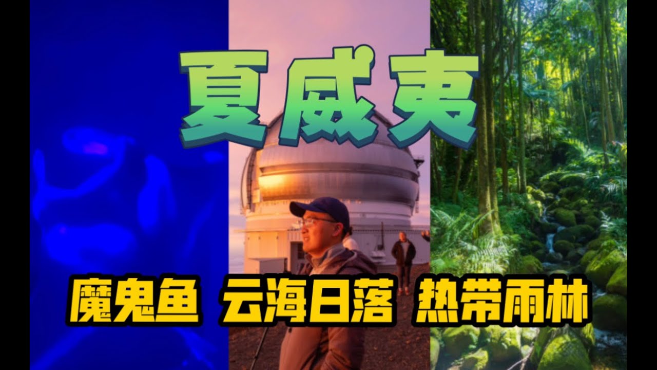 【夏威夷】大岛最值得一去的活动是？| 大岛之行3