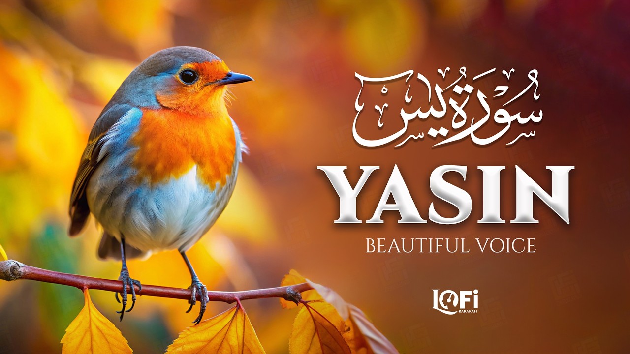 Surah Yasin (Yaseen) سورة يس | Soothing & Melodious Quranic Flow to Heal the Heart | #quranforsleep