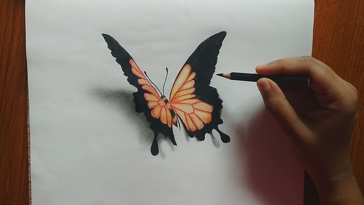 How to draw a realistic 3D butterfly || Time lapse