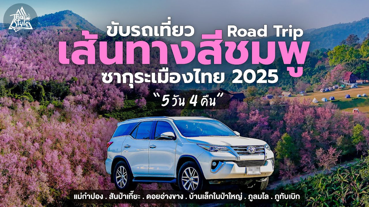 ขับรถเที่ยวภาคเหนือ 2025 เส้นทางสีชมพู ซากุระเมืองไทย กางเต็นท์ชมทะเลหมอก '5 วัน 4 คืน' | Thai Style