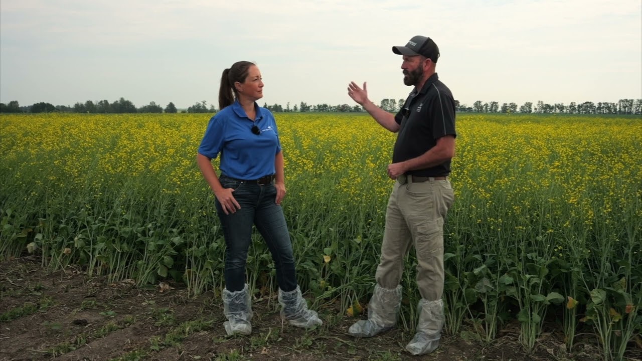 Canola School: Increasing yield starts with precise soil samples