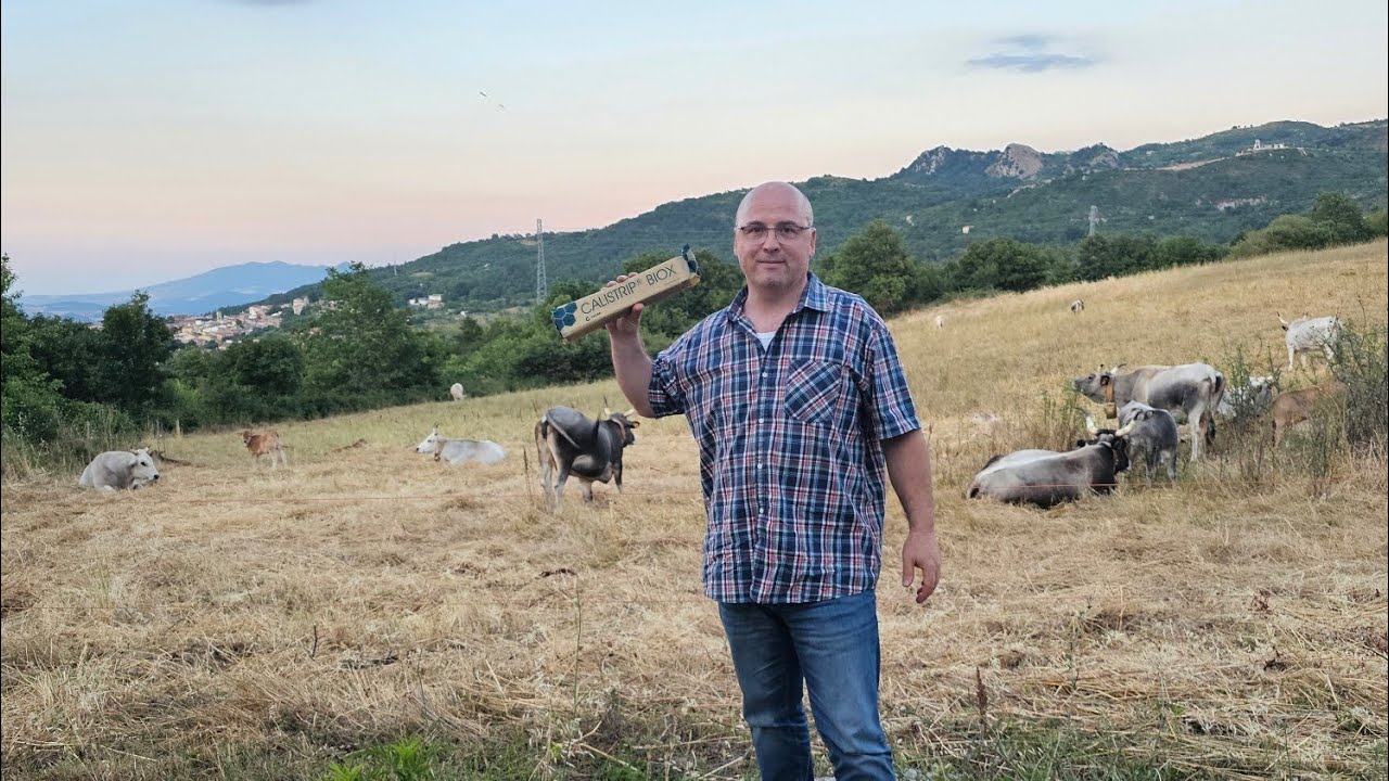 La varroa, Calistrip biox e la rivoluzione 😁