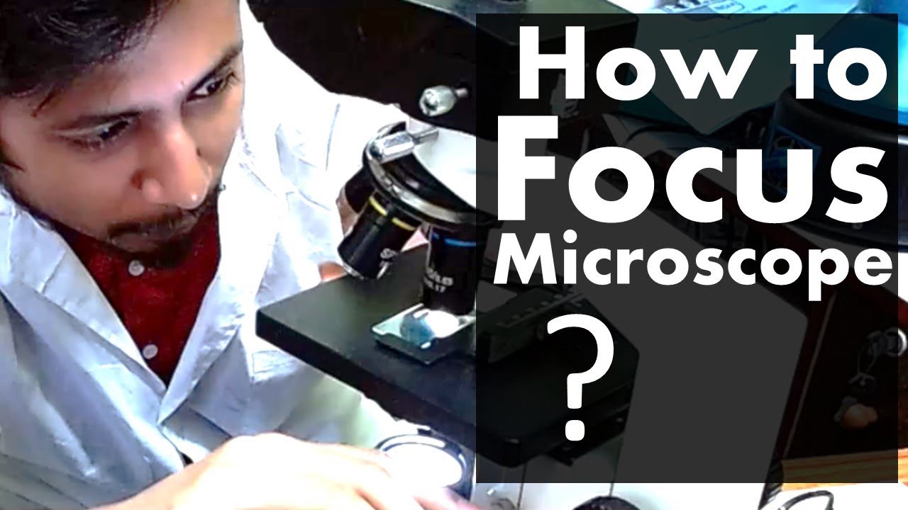 How to focus a microscope | The best microscope focusing procedure steps